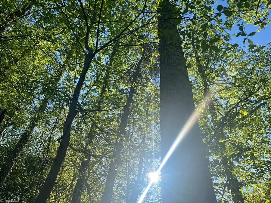 0 Vista Lindo Court, Middle Fork Ii, NC 27101 - Image #2