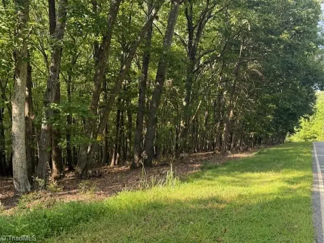 0 Cedar Mountain Road, Mayodan, NC 27027 - Image #1
