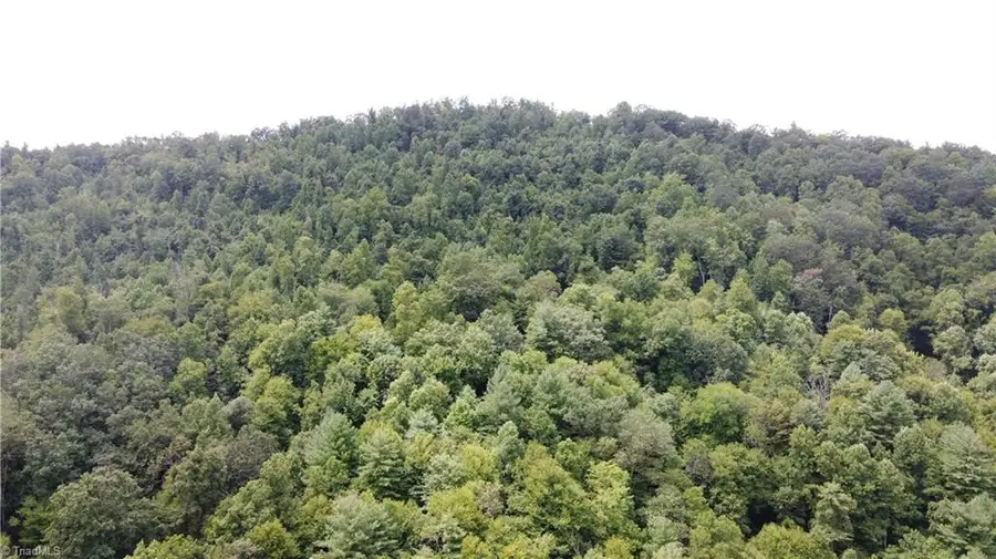 TBD Eagle Hills Road #Eagle Hills, Purlear, NC 28665 - Image #2