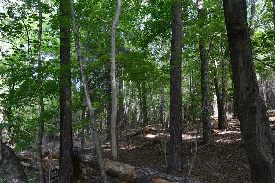 00 Hanging Rock Forest Road #Tract F (11.4 AC), Danbury, NC 27016 - Image #3
