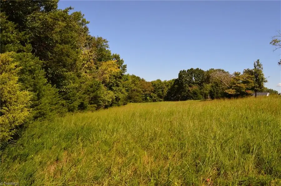 01 Hanging Rock Forest Road #Tract D (14ac), Danbury, NC 27016 - Image #3