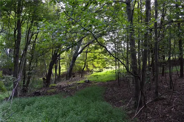 02 Hanging Rock Forest Road #Tract E (10.8), Danbury, NC 27016