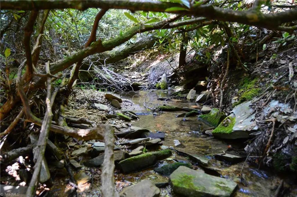 01 Nc Highway 89 W #Tract C (21ac), Danbury, NC 27016 - Image #1