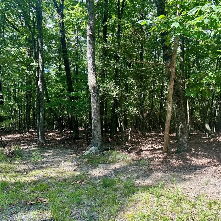 Lot 63 Grandview Circle, Traphill, NC 28685 - Image #3