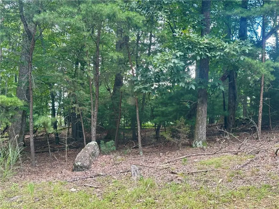 132 View Point Drive, Traphill, NC 28685 - Image #3