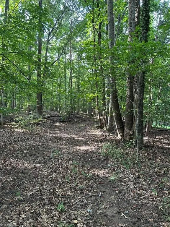 0000 Jewell Road, Reidsville, NC 27320 - Image #2