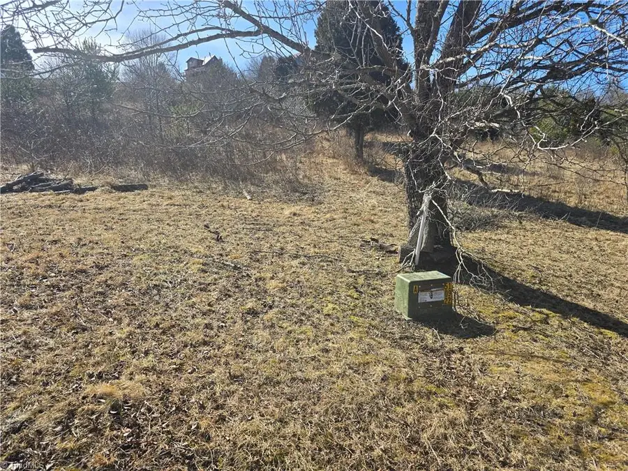 Lot #46 New River Landing, Crumpler, NC 28617 - Image #2