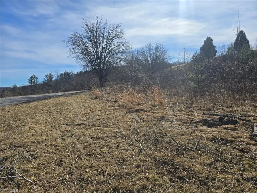 Lot #46 New River Landing, Crumpler, NC 28617 - Image #3