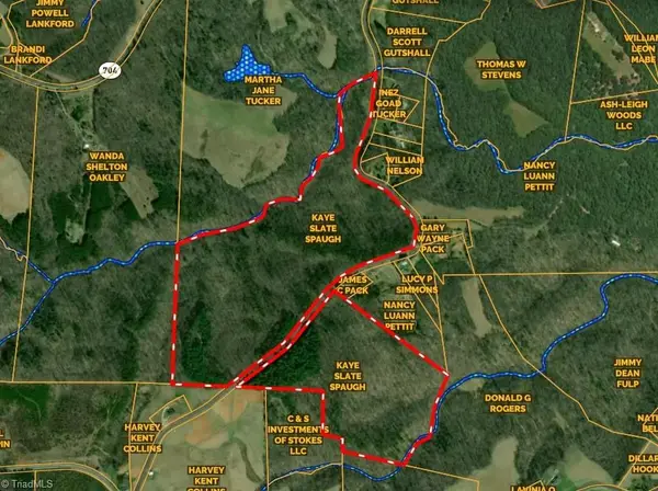 0001 Tom Mix Road, Westfield, NC 27053