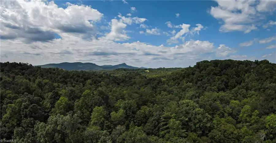 00 Peewee Cromer Road, Danbury, NC 27016 - Image #2