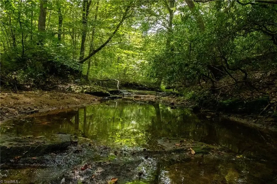 00 Peewee Cromer Road, Danbury, NC 27016 - Image #3