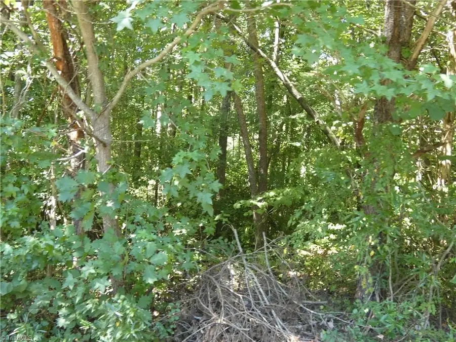 00 Brookfield Lane, Yadkinville, NC 27055 - Image #3