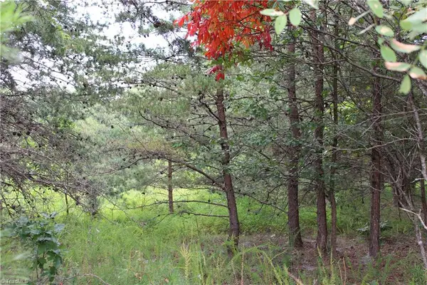 00 Ralph Joyce Road, Sandy Ridge, NC 27046