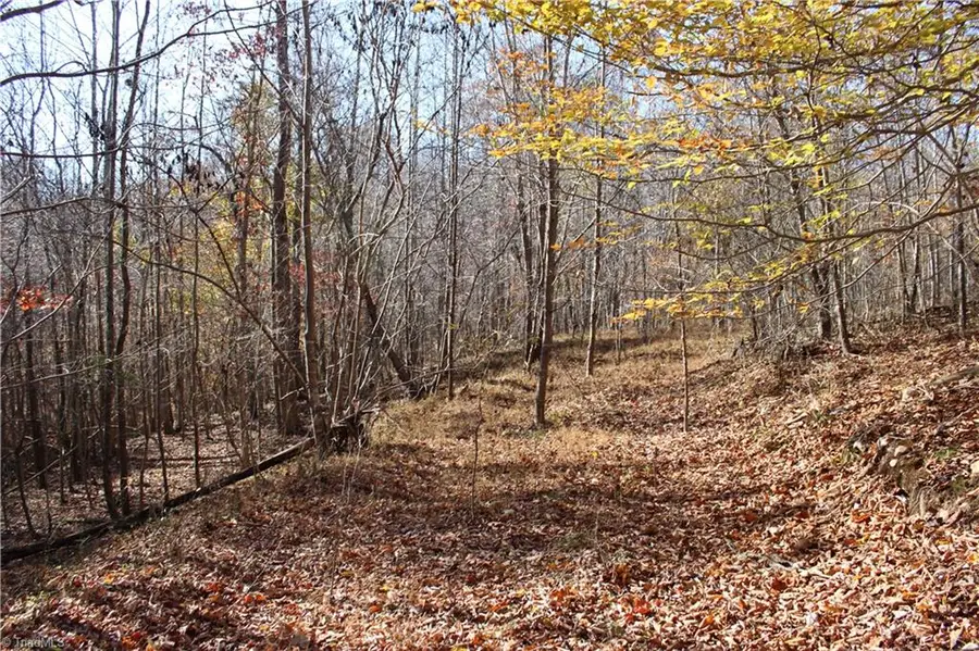 00 Ralph Joyce Road, Sandy Ridge, NC 27046 - Image #3