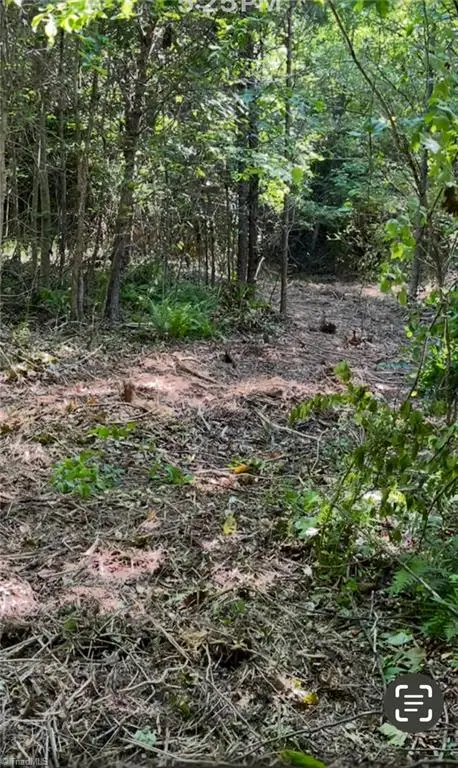 00 Albion Church Road, Mount Airy, NC 27030 - Image #1