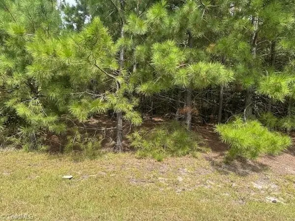 New Tract 11 Belford Church Road, Jackson Springs, NC 27281