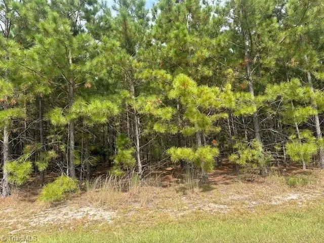 Tract 14 Belford Church Road, Jackson Springs, NC 27281 - Image #1