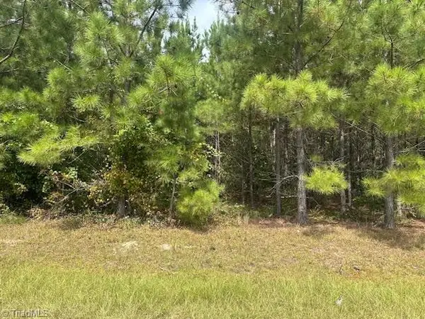 New Tract 16 Belford Church Road, Jackson Springs, NC 27281