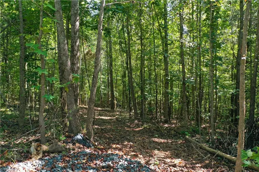 Lot 6 Cart Drive, Reidsville, NC 27320 - Image #2