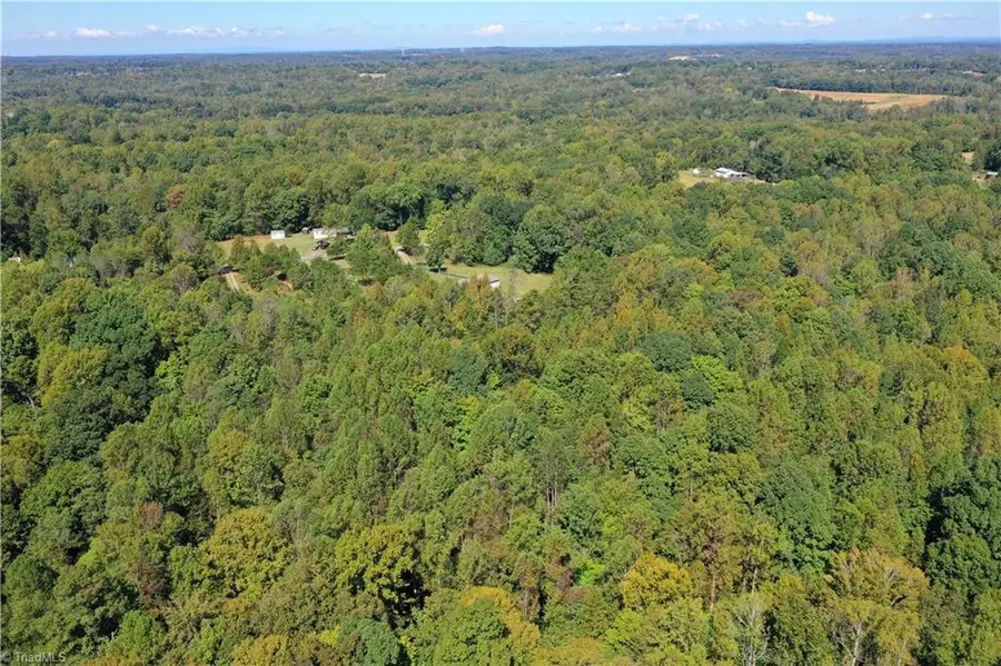 Lot 1 Manley Farm Road, Reidsville, NC 27320 - Image #2