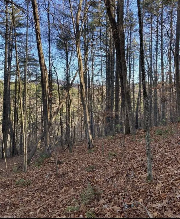 TBD Lots 1 & 2 Toe River Lane, Newland, NC 28657 - Image #1