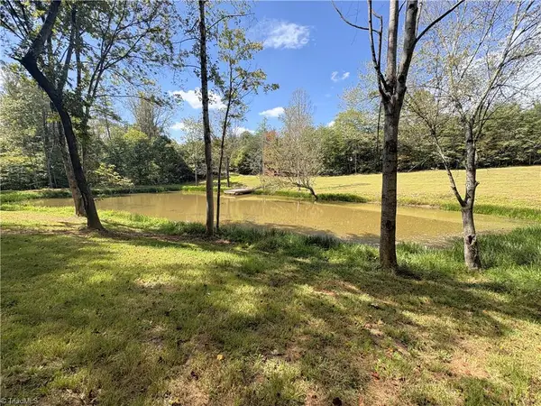 29.46 AC Steele Road, Sandy Ridge, NC 27046