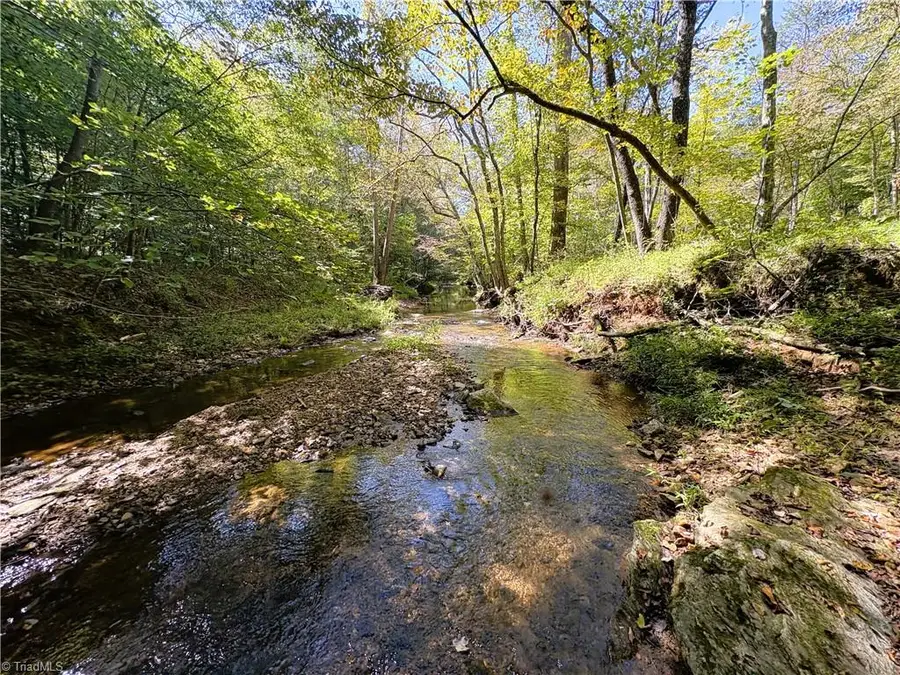 29.46 AC Steele Road, Sandy Ridge, NC 27046 - Image #2