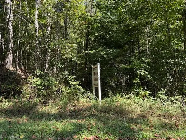 8 Arlie Myers Store Road #8, McGrady, NC 28649