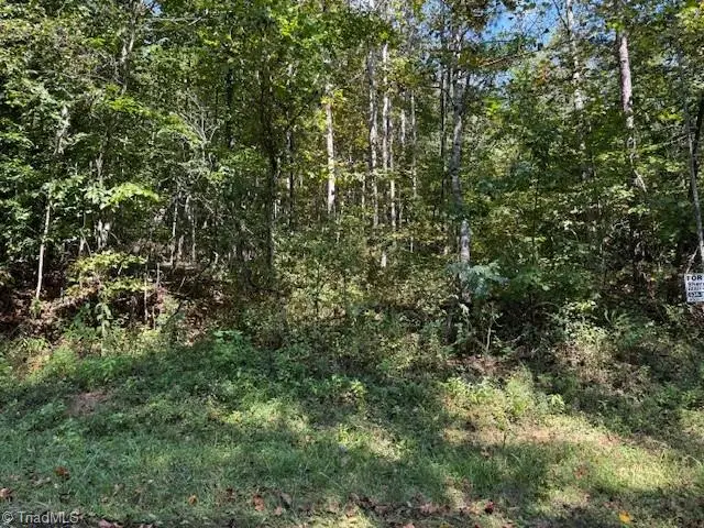 8 Arlie Myers Store Road #8, McGrady, NC 28649 - Image #2