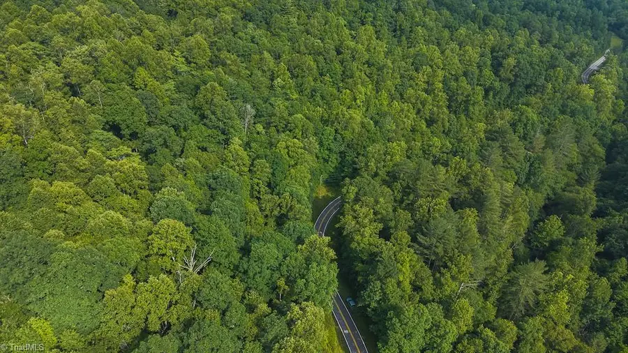 TBD Brushy Mountain Road, Moravian Falls, NC 28654 - Image #2