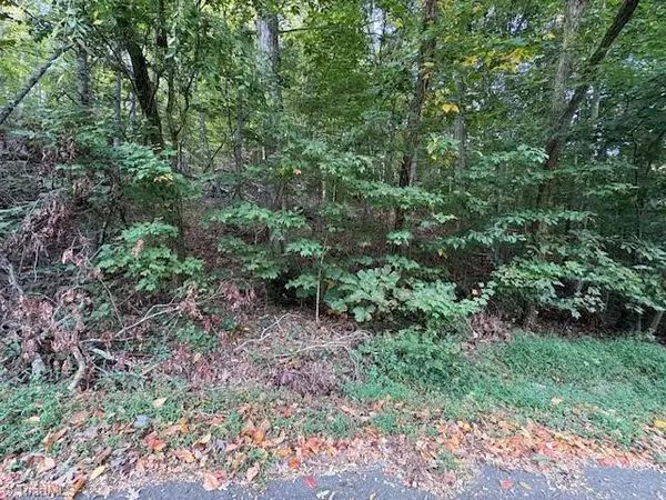 TBD Holly Tree Drive, Wilkesboro, NC 28697