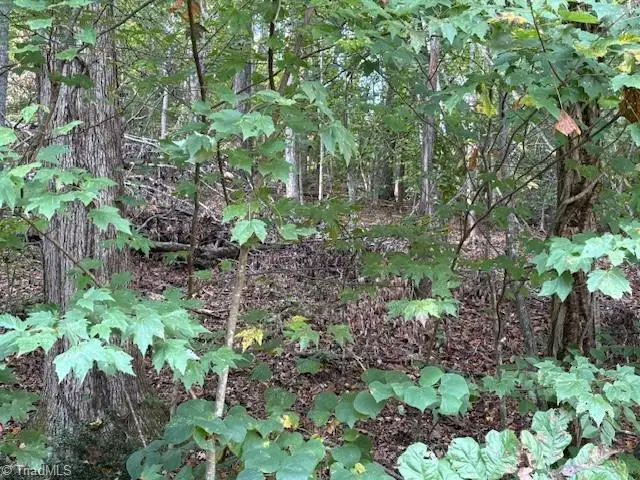 TBD Holly Tree Drive, Wilkesboro, NC 28697 - Image #2