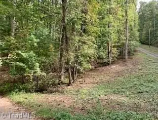 TBD Walnut Hills Circle, Crumpler, NC 28617 - Image #3