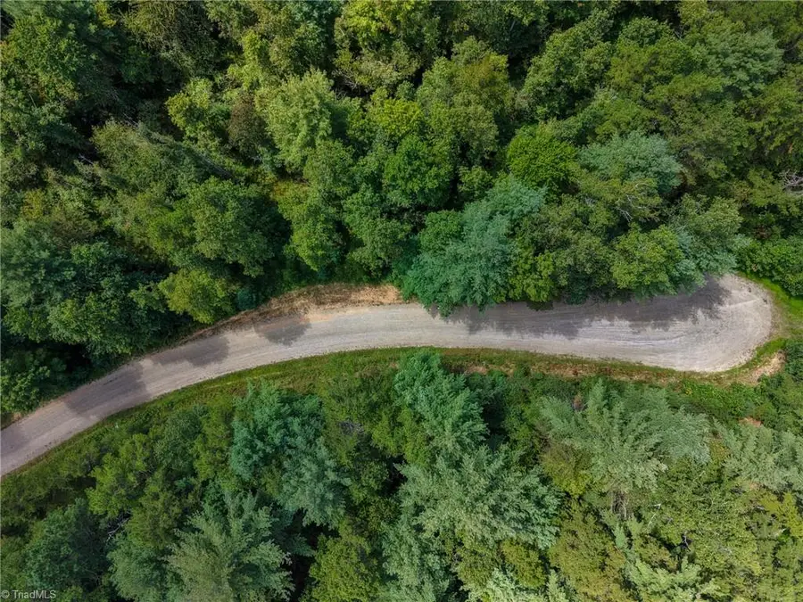 000 Antler Drive, McGrady, NC 28649 - Image #3