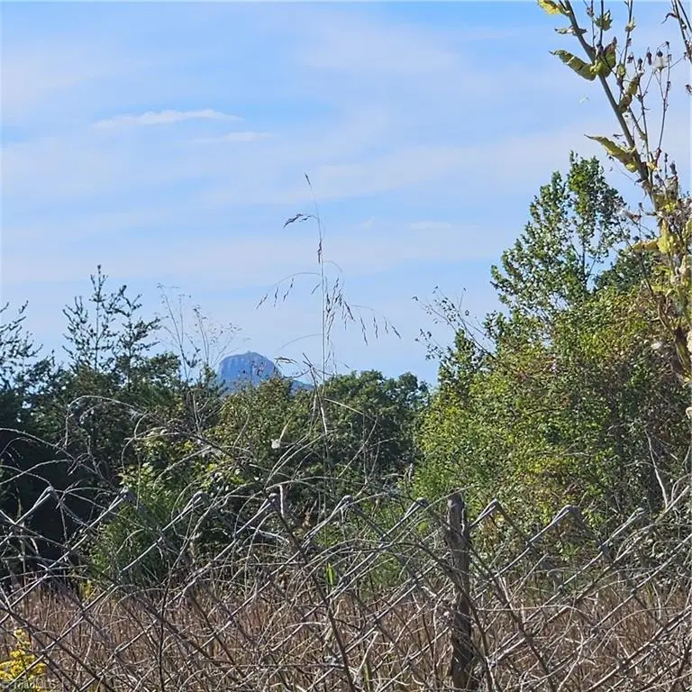 0 Edwards Farm Road, King, NC 27021 - Image #2