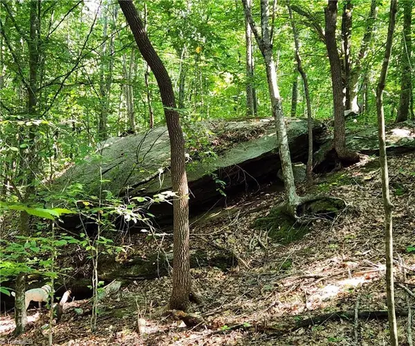 00 Grassy Knob Road #25, Pilot Mountain, NC 27041