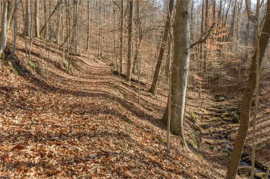 000 E Brocktown Road, Moravian Falls, NC 28654 - Image #2