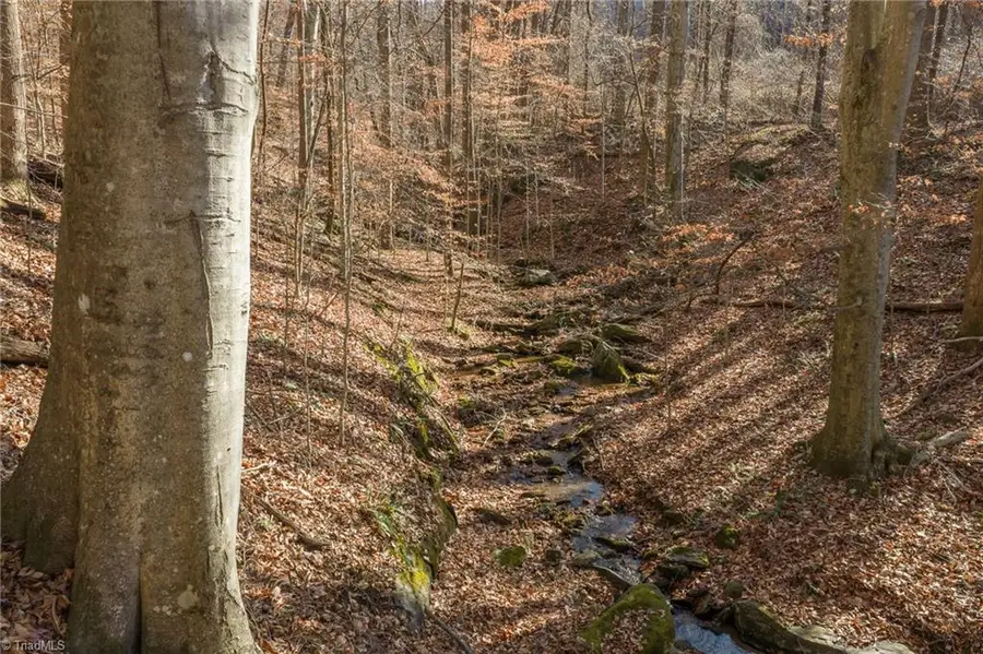 000 E Brocktown Road, Moravian Falls, NC 28654 - Image #3