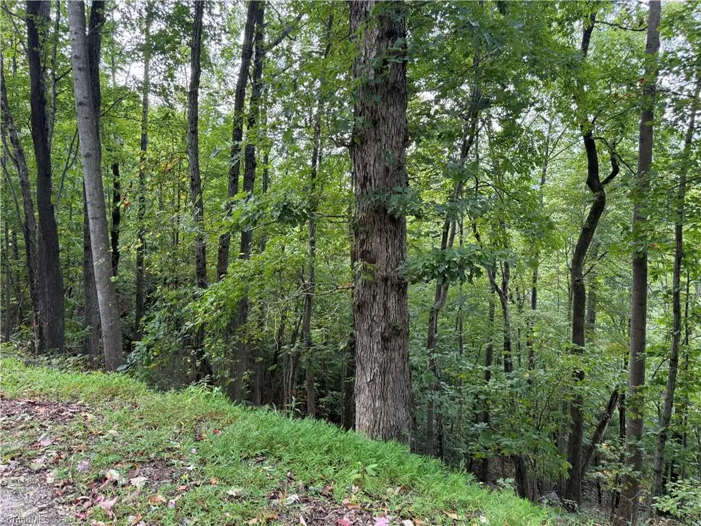 000 Ridge Run Road #lot 84, Boomer, NC 28606 - Image #1