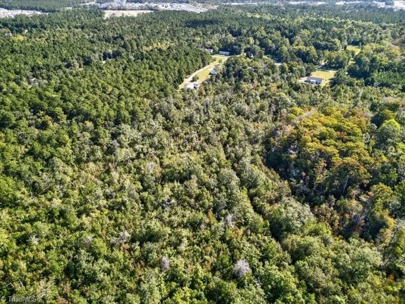 110 Hewett Burton Road Se, Leland, NC 28451 - Image #2