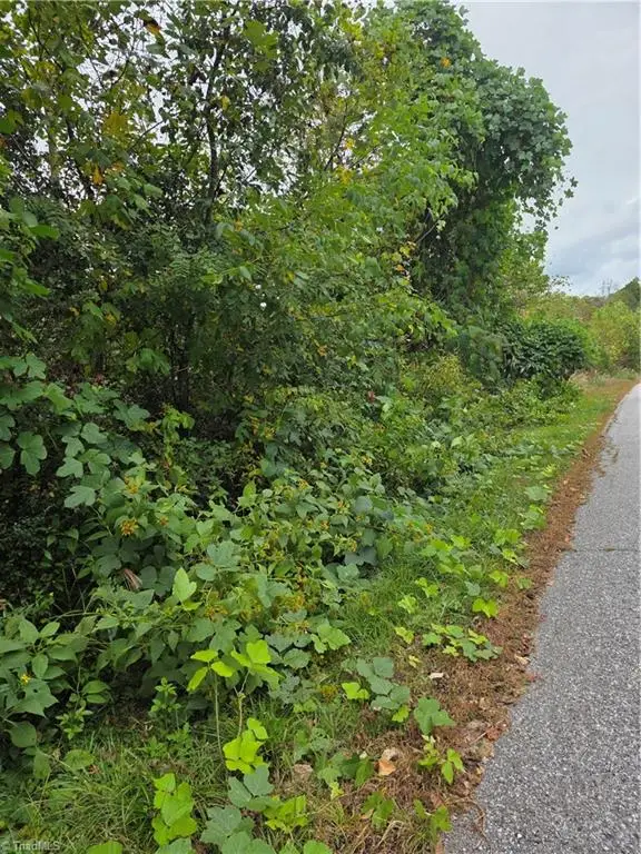 00 Holly Brook Street, North Wilkesboro, NC 28659