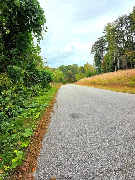 000 Holly Brook Street, North Wilkesboro, NC 28659 - #2