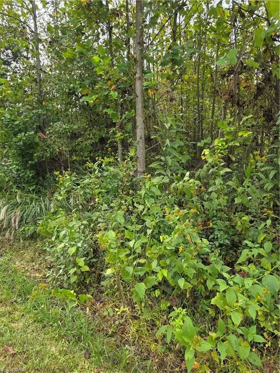 000 Holly Brook Street, North Wilkesboro, NC 28659 - #3