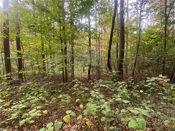 00 Bear Hollow Lane, North Wilkesboro, NC 28659