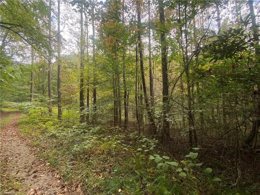 00 Bear Hollow Lane, North Wilkesboro, NC 28659 - Image #2