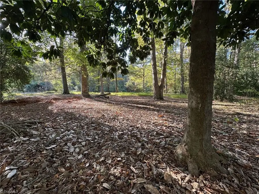 0 Courtney Huntsville Road, Yadkinville, NC 27055 - Image #2