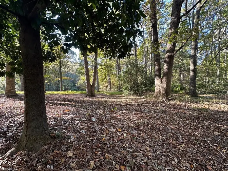 0 Courtney Huntsville Road, Yadkinville, NC 27055 - Image #3