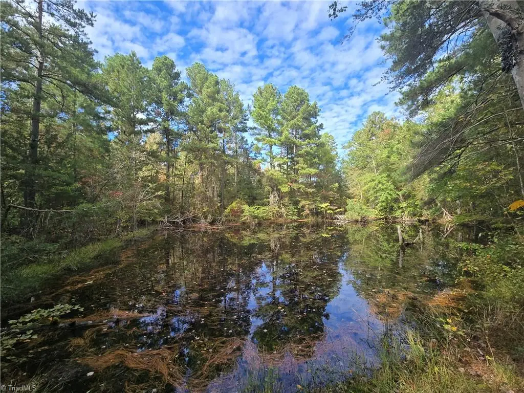 0 Bass Mountain Road, Snow Camp, NC 27349 - Image #1