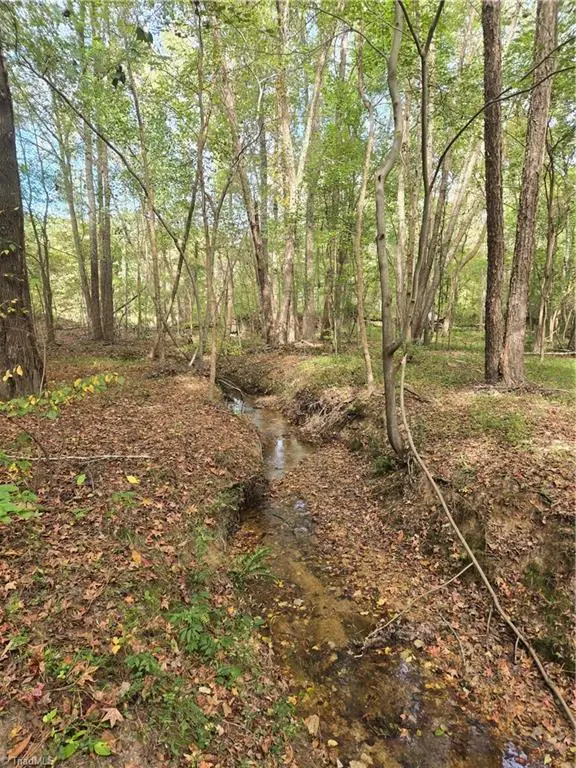 0 Bass Mountain Road, Snow Camp, NC 27349 - Image #3