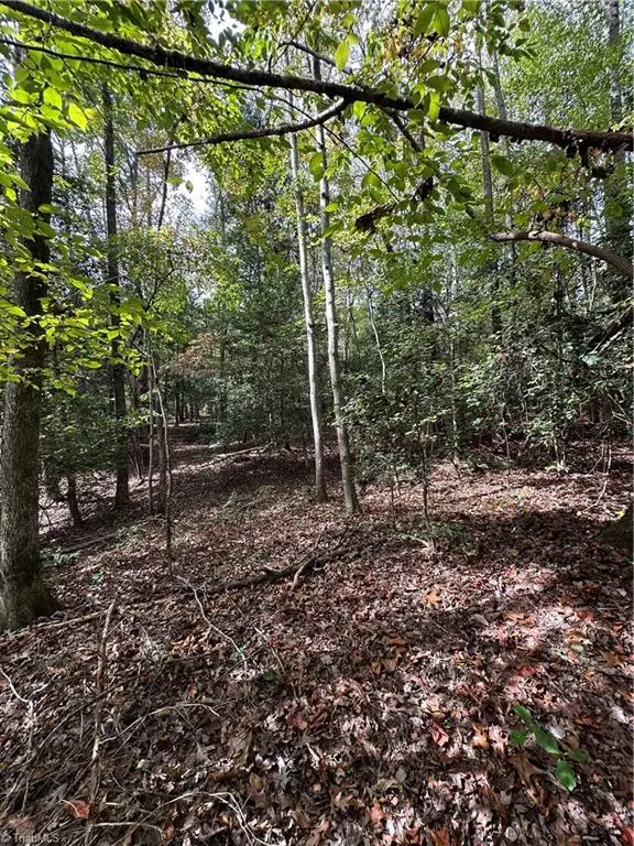 5747 Lou Cranford Road, Denton, NC 27239 - Image #3